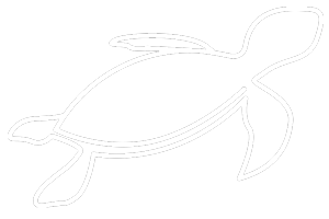 Logo Marburger Erfolge eV